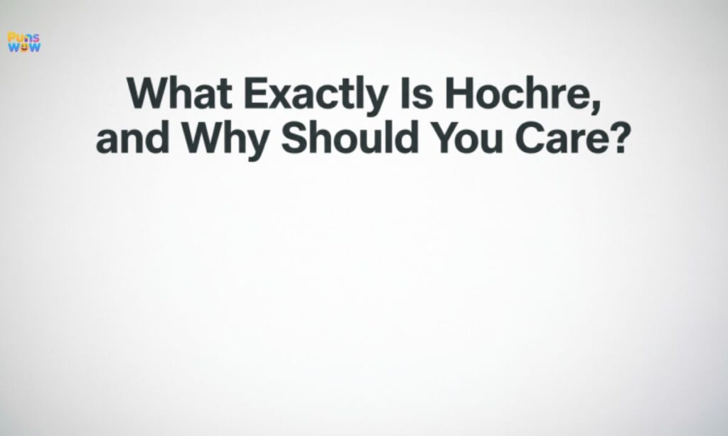 What Exactly Is Hochre, and Why Should You Care