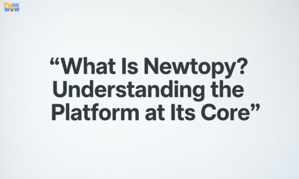 What Is Newtopy Understanding the Platform at Its Core